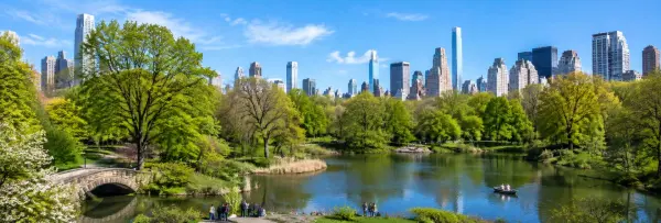 Central Park in New York City with its lake, stone bridge, lush trees, and Manhattan skyline.