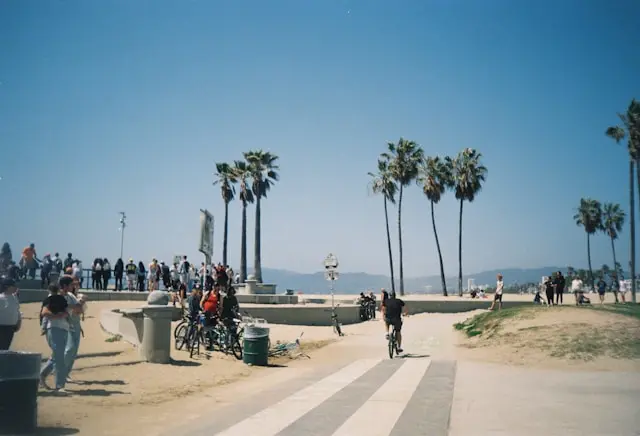 People cycling and walking along a palm-lined viewpoint in Los Angeles