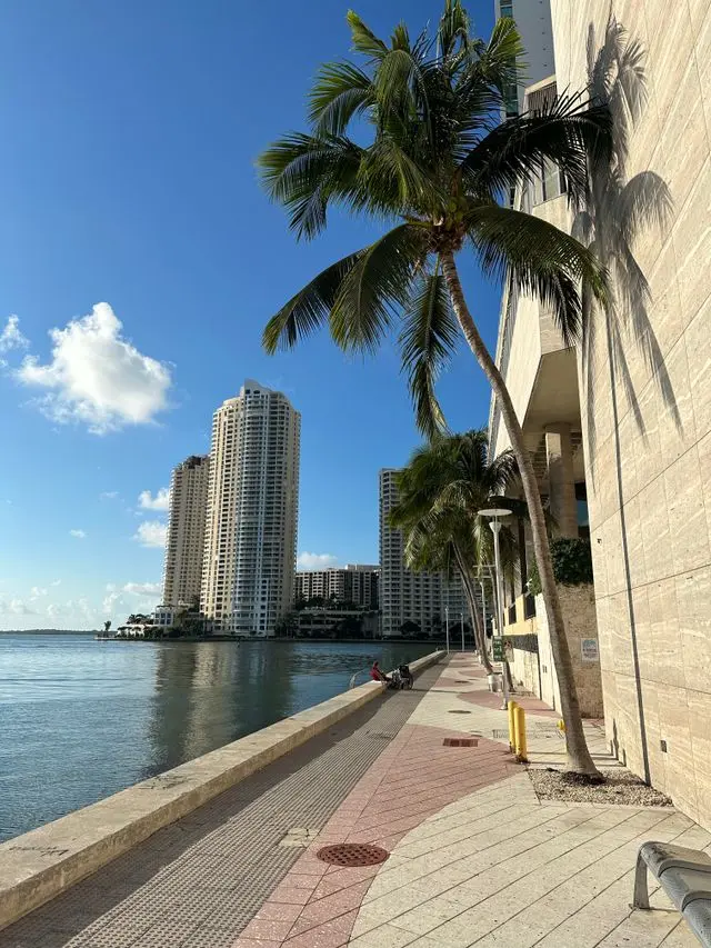 Miami waterfront promenade with palm trees and high-rise buildings